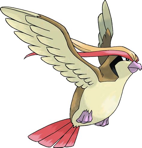 pidgeot type|Pidgeot (Pokémon) .